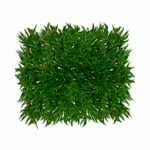 Astroturf